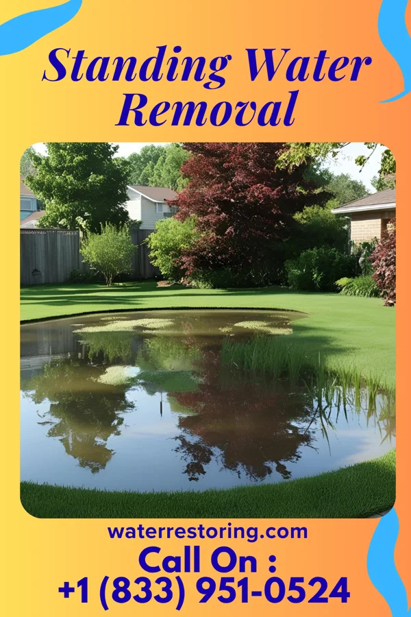 Standing Water Removal in Fairview, KS